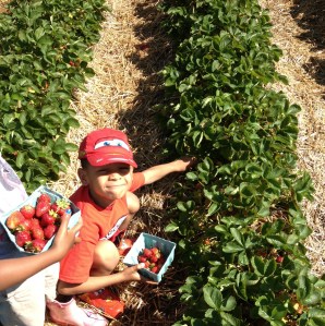 Helper #1 - "Mr. Oh So Helpful!"